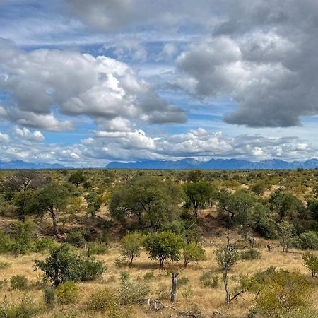 Sausage Tree Safari Camp Balule Doğa Koruma Alanı Dış mekan fotoğraf