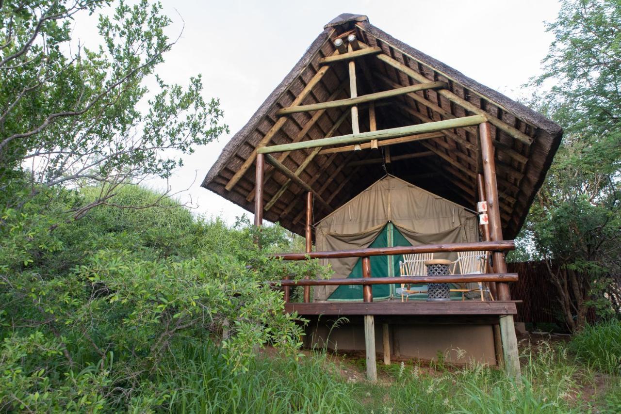 Sausage Tree Safari Camp Balule Doğa Koruma Alanı Dış mekan fotoğraf